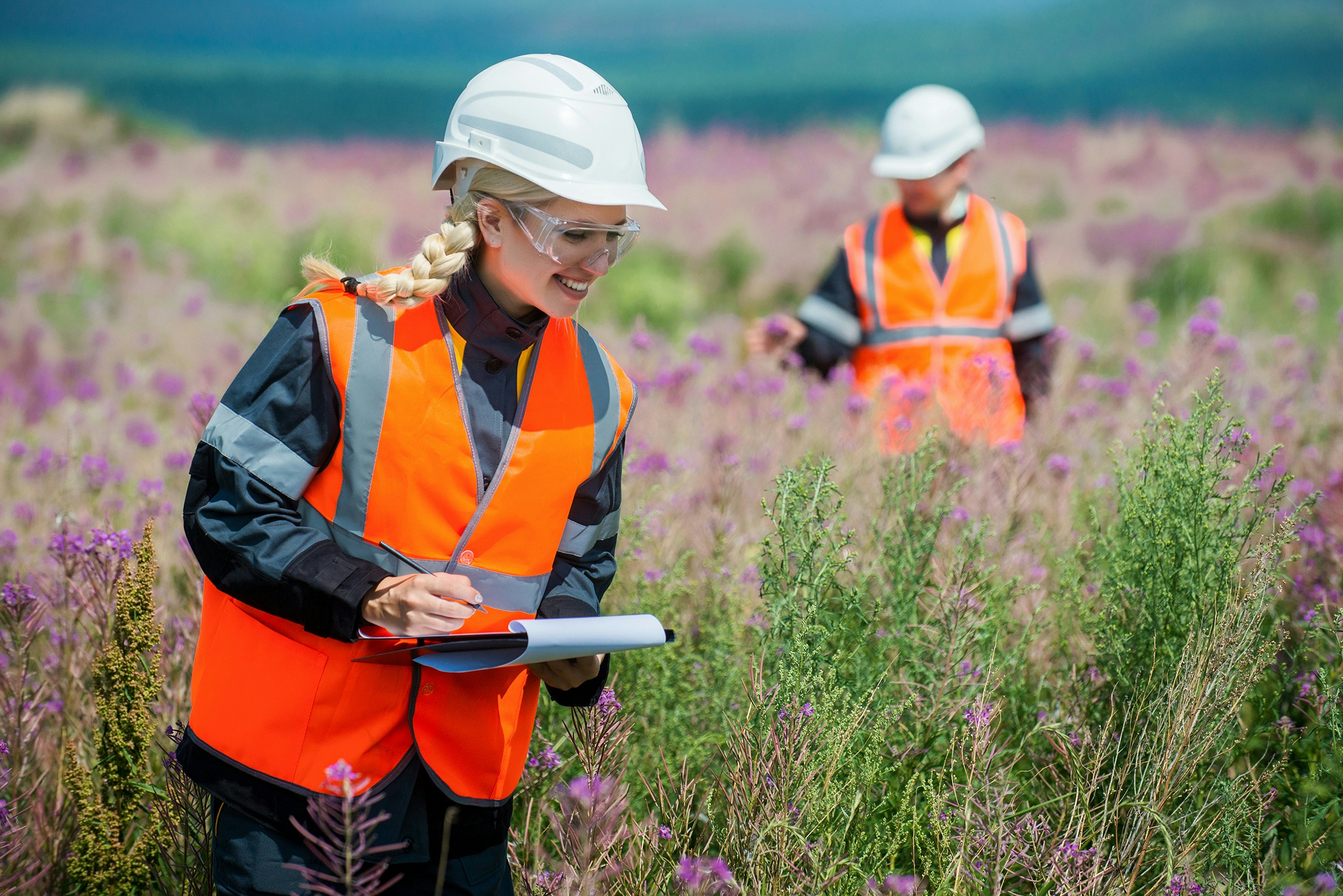 SCAPE Stock Image Geo Planning image People in field assessing environment resized for web